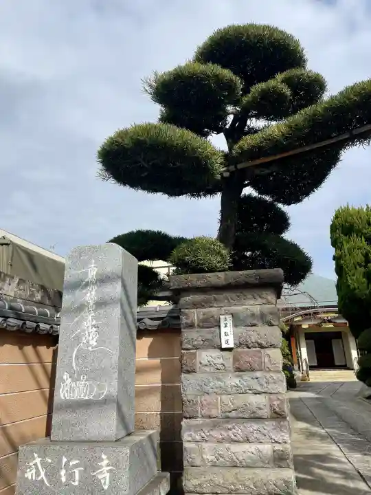 戒行寺の{uncategorized: "未分類", other: "その他", undefined: "問題あり", building: "その他建物", grave: "お墓", sacred_gate: "鳥居", guardian: "狛犬", statue: "像", buddha: "仏像", history: "歴史", nature: "自然", garden: "庭園", animal: "動物", pagoda: "塔", temizu: "手水舎", mountain_gate: "山門・神門", sanctuary: "本殿・本堂", subordinate: "末社・摂社", art: "芸術", scenery: "景色", jizo: "地蔵", ema: "絵馬", goshuin: "御朱印", omikuji: "おみくじ", items: "授与品その他", amulet: "お守り", goshuincho: "御朱印帳", eats: "食事", festival: "お祭り", votive_dance: "神楽", shichigosan: "七五三参", wedding: "結婚式", experience: "体験その他", initially: "初詣", around: "周辺", anti_infection: "感染症対策"}