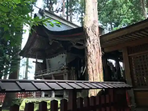 櫛引八幡宮の本殿