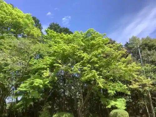 玉野御嶽神社の自然