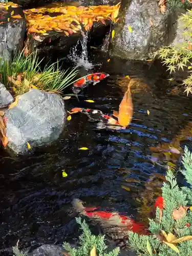 蛇窪神社の庭園