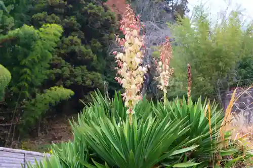 大六天麻王神社の自然