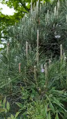 宝蔵寺(京都府)