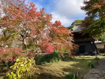 英勝寺(神奈川県)