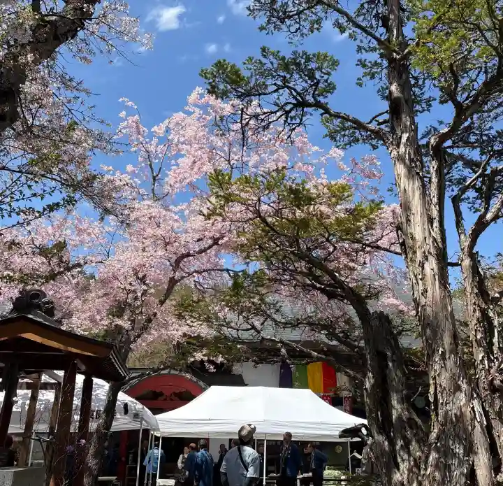 東円寺の{uncategorized: "未分類", other: "その他", undefined: "問題あり", building: "その他建物", grave: "お墓", sacred_gate: "鳥居", guardian: "狛犬", statue: "像", buddha: "仏像", history: "歴史", nature: "自然", garden: "庭園", animal: "動物", pagoda: "塔", temizu: "手水舎", mountain_gate: "山門・神門", sanctuary: "本殿・本堂", subordinate: "末社・摂社", art: "芸術", scenery: "景色", jizo: "地蔵", ema: "絵馬", goshuin: "御朱印", omikuji: "おみくじ", items: "授与品その他", amulet: "お守り", goshuincho: "御朱印帳", eats: "食事", festival: "お祭り", votive_dance: "神楽", shichigosan: "七五三参", wedding: "結婚式", experience: "体験その他", initially: "初詣", around: "周辺", anti_infection: "感染症対策"}
