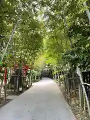 來宮神社の建物その他