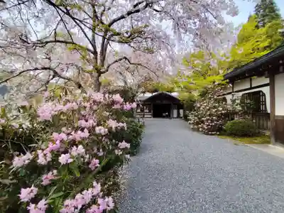 三千院門跡(京都府)