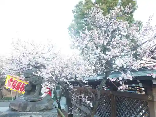 湯島天満宮の庭園