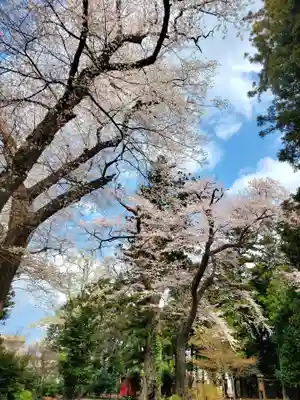 神炊館神社 ⁂奥州須賀川総鎮守⁂(福島県)