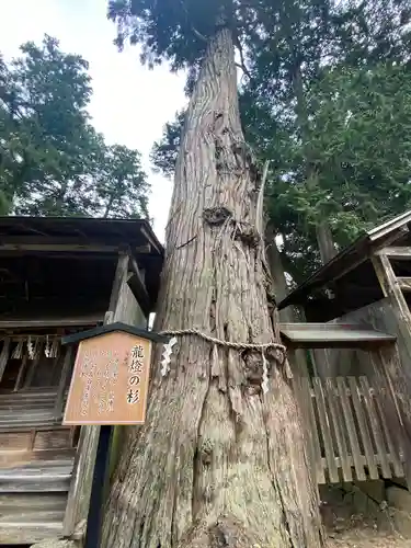 豊受大神社(京都府)