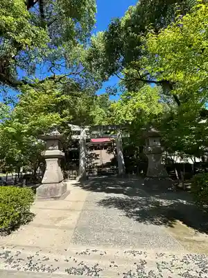鹿児島神社(鹿児島県)