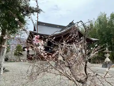 伊射奈美神社(徳島県)
