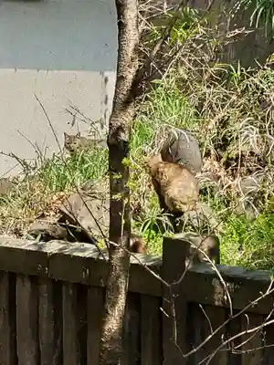 小野照崎神社(東京都)
