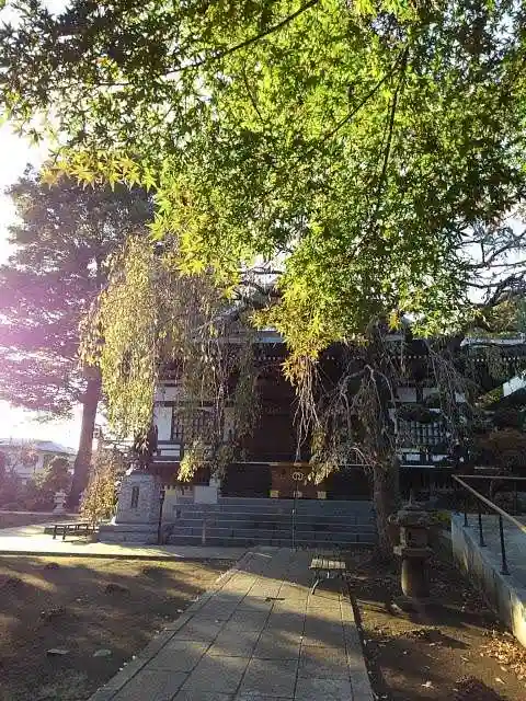 金蔵院の本殿・本堂