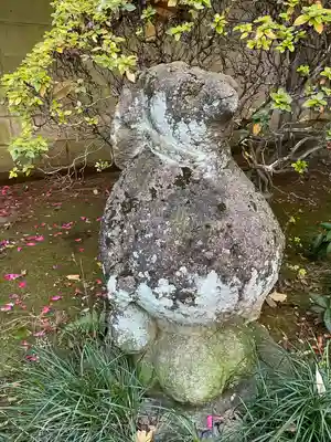 高円寺(東京都)