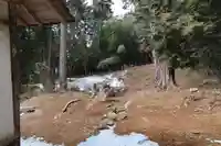 谷八幡神社の自然