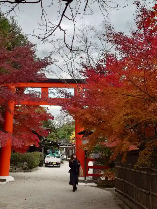 賀茂御祖神社(下鴨神社)(京都府)