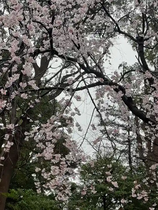 伊勢山皇大神宮の自然