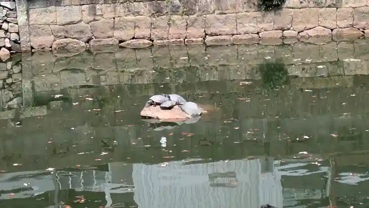 和光寺(大阪府)