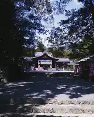 土佐神社の建物その他