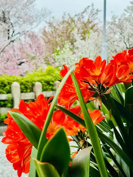六孫王神社(京都府)