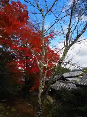 天龍寺(京都府)