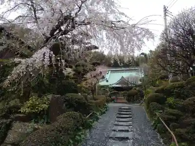 荘厳寺のその他建物