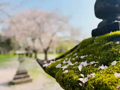 守りの神　藤基神社(新潟県)