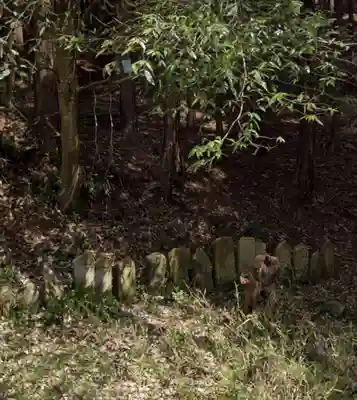 大塚神社(飛駒町)(栃木県)