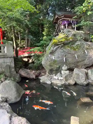 來宮神社(静岡県)