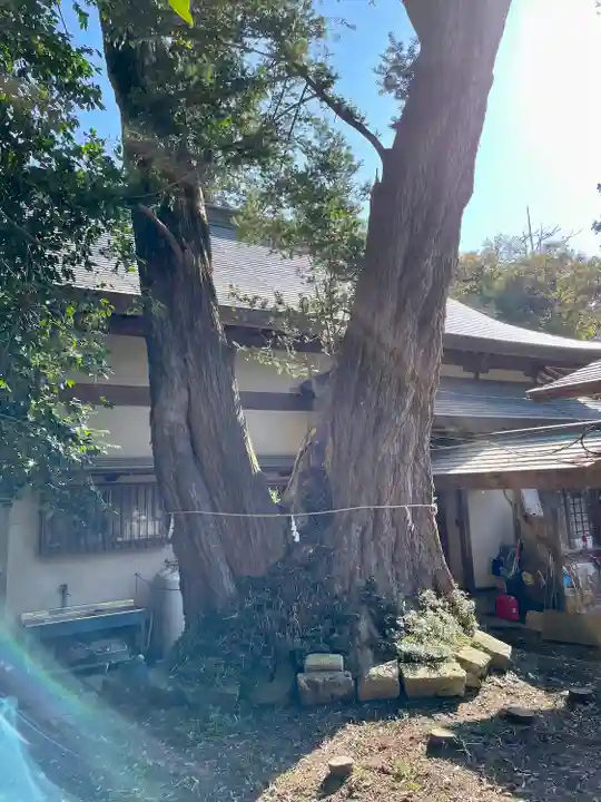 雄琴神社(栃木県)