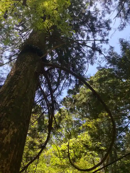 鳳来山東照宮(愛知県)
