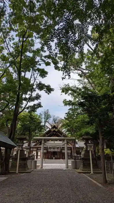 新琴似神社の鳥居