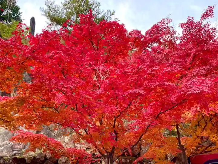 瓦屋寺(滋賀県)