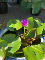 上行寺(静岡県)