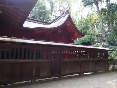 氷川女體神社の本殿・本堂