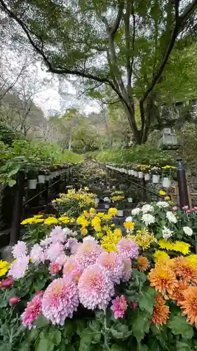 長谷寺(奈良県)