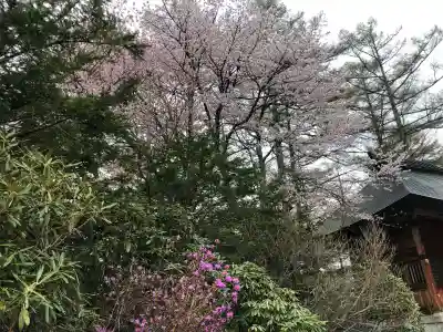 修験道公明院の{uncategorized: "未分類", other: "その他", undefined: "問題あり", building: "その他建物", grave: "お墓", sacred_gate: "鳥居", guardian: "狛犬", statue: "像", buddha: "仏像", history: "歴史", nature: "自然", garden: "庭園", animal: "動物", pagoda: "塔", temizu: "手水舎", mountain_gate: "山門・神門", sanctuary: "本殿・本堂", subordinate: "末社・摂社", art: "芸術", scenery: "景色", jizo: "地蔵", ema: "絵馬", goshuin: "御朱印", omikuji: "おみくじ", items: "授与品その他", amulet: "お守り", goshuincho: "御朱印帳", eats: "食事", festival: "お祭り", votive_dance: "神楽", shichigosan: "七五三参", wedding: "結婚式", experience: "体験その他", initially: "初詣", around: "周辺", anti_infection: "感染症対策"}