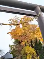 赤井八幡神社(宮城県)