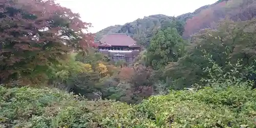 清水寺の景色