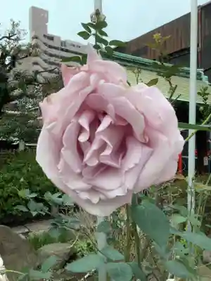 富士浅間神社(愛知県)