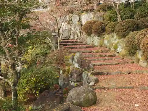 高野寺の庭園