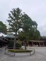 寒川神社の自然