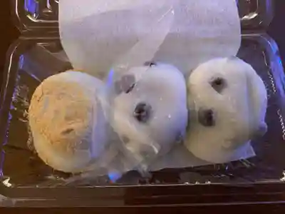 出町妙音堂(京都府)