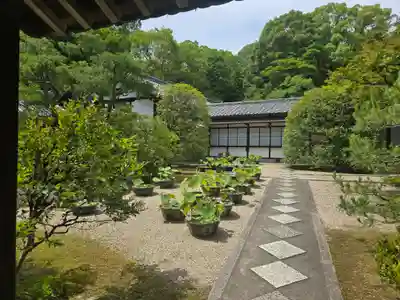 蔵松院(奈良県)