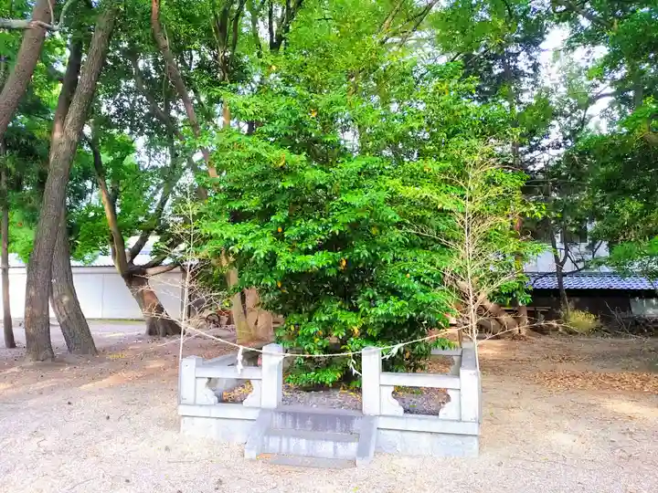 白山比売神社のその他建物