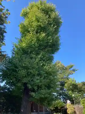 三会寺(神奈川県)