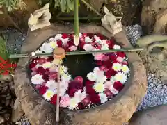 東京羽田 穴守稲荷神社の手水