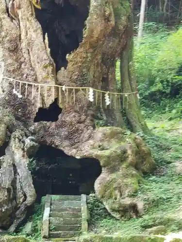 武雄神社(佐賀県)