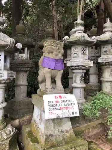 鹿嶋神社の狛犬