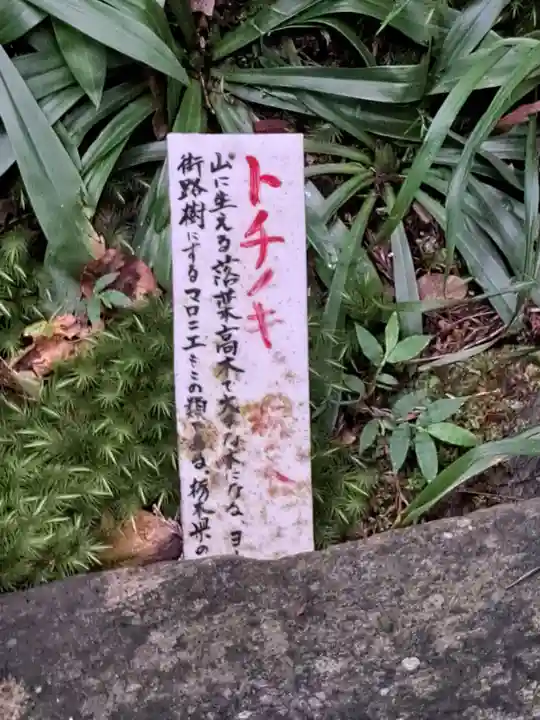御岩神社(茨城県)